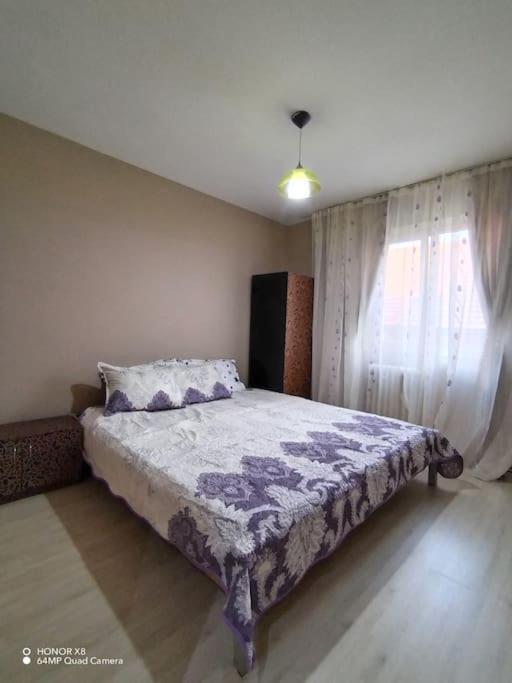 Apartament In Centrul Istoric Baia Mare Exterior photo