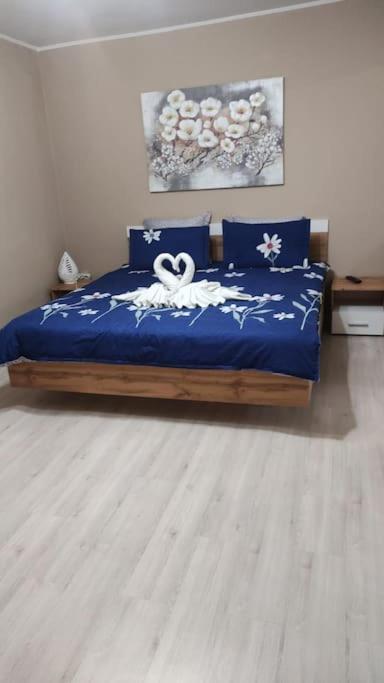 Apartament In Centrul Istoric Baia Mare Exterior photo